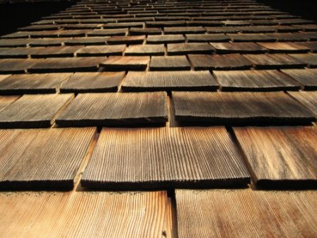 Roof Shingles