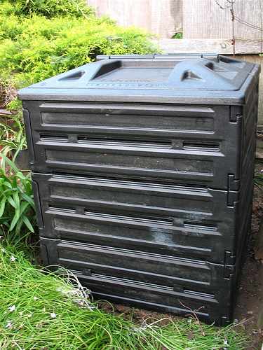 Compost Bin