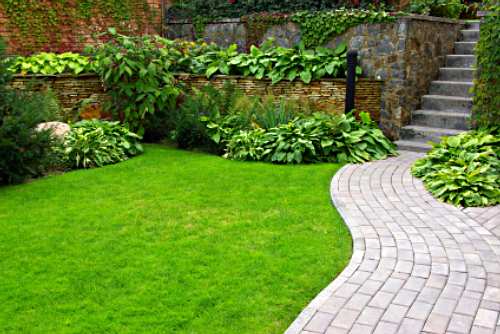 Follow these lawn care tips on how to grow healthy, green grass in your yard!
