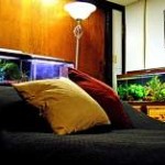 Boys Bedroom Aquarium