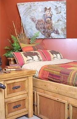 Pillows with images of Buffalo and an abstract horse image set a great focal point.
