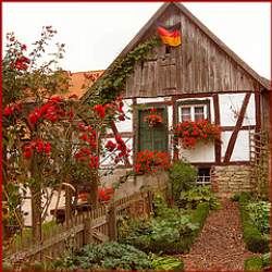 Striking contrast is achieved with the red flowers in this cottage style garden; choose flowers that will provide color in each season if possible.