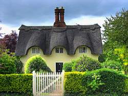 Green and lush, the yellow siding, dark cottage roof and white gate make this cottage garden feel like stepping into a fairy tale.