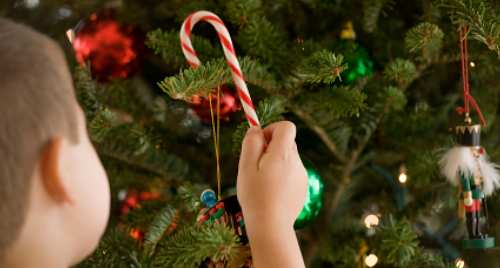 Candy canes are always a favorite, tasty and inexpensive feature on a family Christmas tree.
