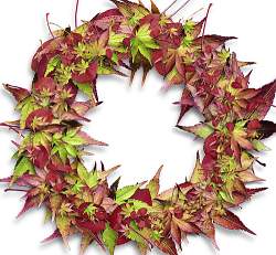 A wreath made with fall leaves is easy to put together with floral wire!