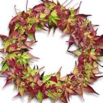 Fall Leaf Wreath Fall Leaf Wreath