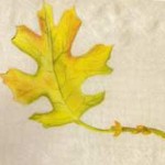 Fall Table Cloth Painting Fall Table Cloth Painting