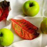 Fall Table Cloth Decorating Fall Table Cloth Decorating