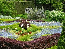 Flowers and foliage should be selected for contrast and complementary colors when designing your formal garden.
