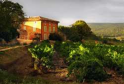 Bastide is the French word for a Provence country home. Pictured is a home in a Vineyard "Bastide", Rousillon, France.