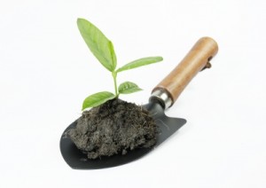 garden trowel