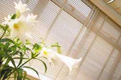 Designing your own window treatments will save money and let you show off your own creativity!