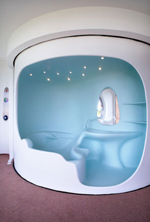Shouldn't take you long to clean the bathroom in this micro home of the future.