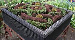 If you have limited space in your garden, you could design a miniature knot garden!