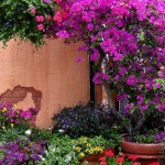 Tuscan Mediterranean Floral Wall Tuscan Mediterranean Floral Wall