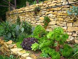 Stonework defines the layout in many Mediterranean style gardens.