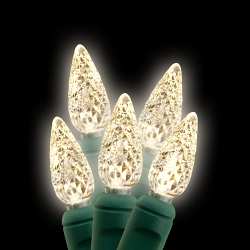 Holiday LEDs has a great selection of LED Christmas lights that look great while also saving on your electricity costs.