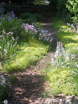 Wild flowers and grasses enhance the natural look and appeal of the prairie gardening theme.