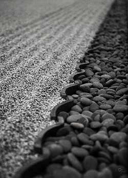 Order and shape play an important part in creating the minimalist Japanese style rock garden. Desert rock gardens tend to be informal and take advantage of more organic shapes.