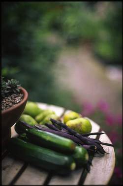 Use small outdoor tables, a wheelbarrow or other decorative touches to give your vegetable garden added appeal.