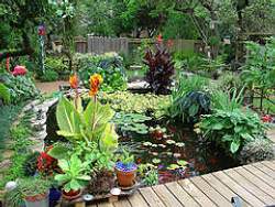 Cool and refreshing, a water garden gives you the opportunity to use plants that thrive naturally around a pond or stream.