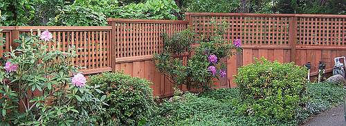 A lattice top will add decorative style to your board on board wood fence.