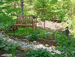 Backyard Renovation to Suit Children and Adults