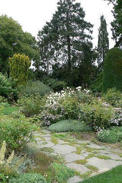 Stone is a natural choice for paths, walkways and informal patio areas in a woodland style garden.