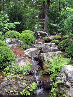 The soothing sound of a small waterfall or other water feature will enhance your woodland garden theme.