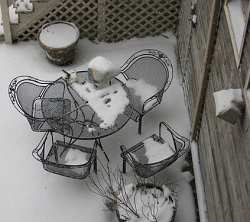 Dusted with snow, this wrought iron patio set makes a great photo. But you will be better off storing your patio funiture in the garage or covering it for the winter to extend the useful life.